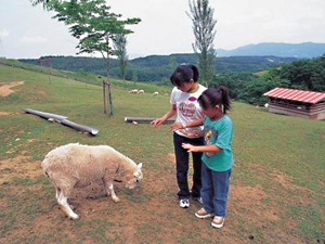 とうほくニュージーランド村