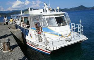 宇和海海中公園