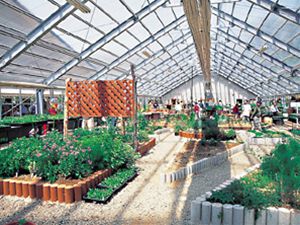 田沢湖ハーブガーデンハートハーブ