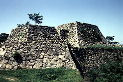 おけしょう鮮魚の海中苑