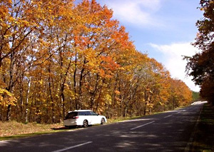 浅間白根火山ルート