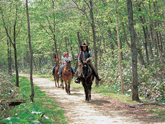 ウエスタン ビレッジ サホロ