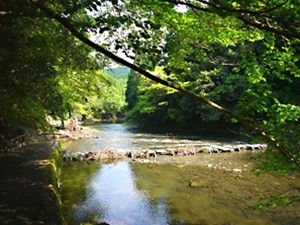 養老渓谷